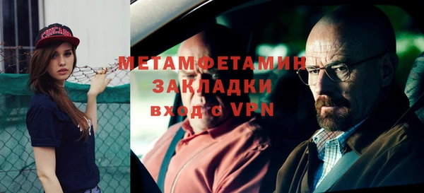 гидра Елизово