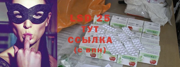 гидра Елизово