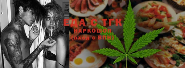 крисы Ельня