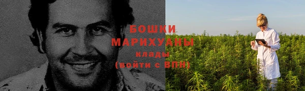 крисы Ельня