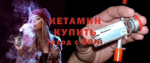 крисы Ельня