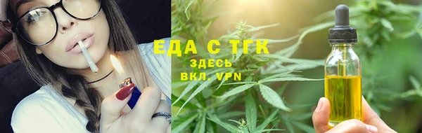 гидра Елизово