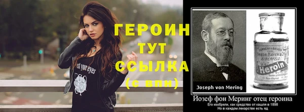 гидра Елизово