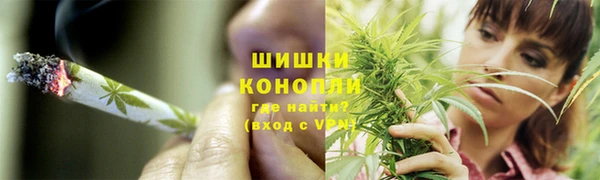 гидра Елизово
