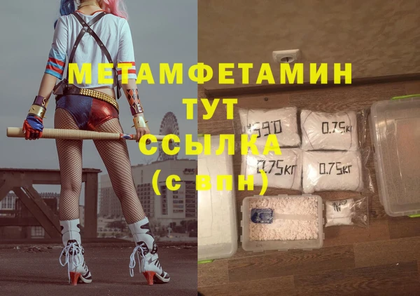 крисы Ельня