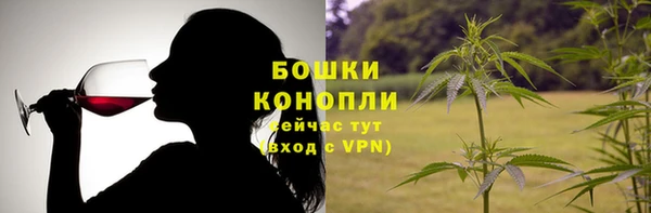 гидра Елизово