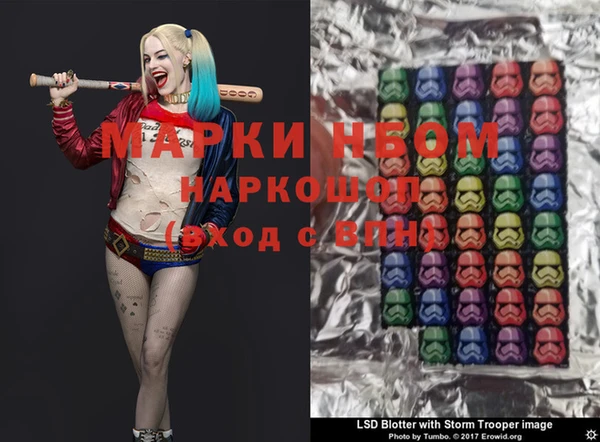 крисы Ельня