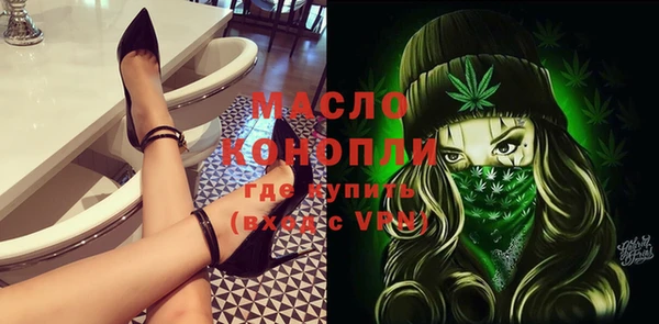 крисы Ельня