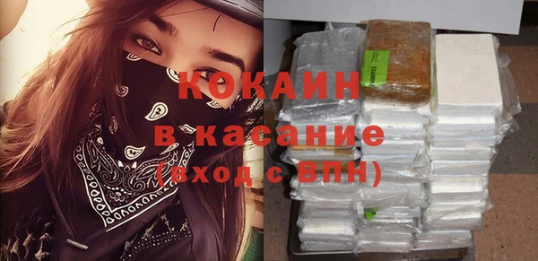 крисы Ельня