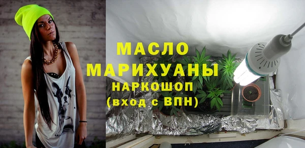 гидра Елизово