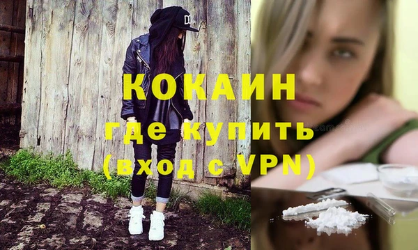 гидра Елизово