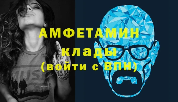 крисы Ельня