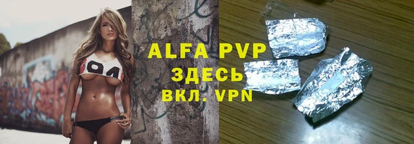 гидра Елизово