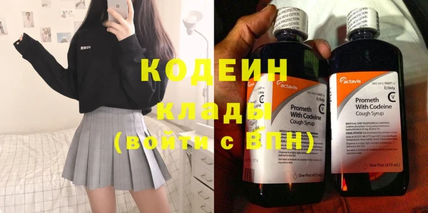 крисы Ельня