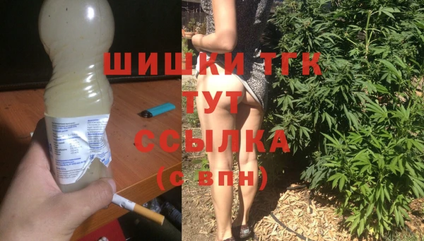 гидра Елизово