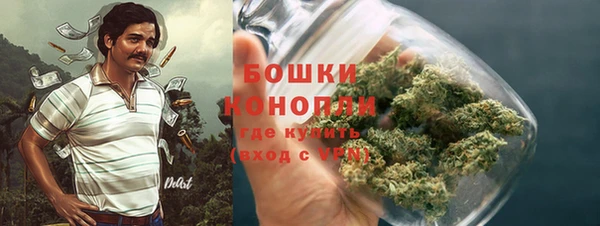 крисы Ельня